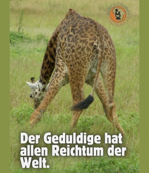 Aluminium-Blechschild mit afrikanischer Weisheit  | Der Geduldige hat allen Reichtum der Welt.